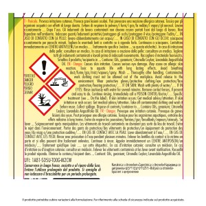 ABS BRACCIALETTI CITRONELLA INTRECC EXPO