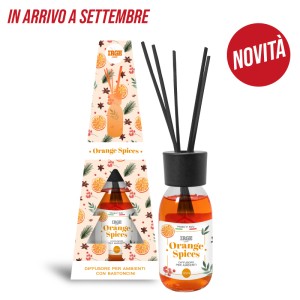 BCA DIFFUSORE IRGE AMB. 125 ML ORANGE S. C/BASTONCINI