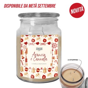 ATA CANDELA ARANCIA E CANNELLA 510GR