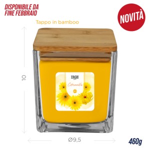 EEA CANDELA CITRONELLA CON VETRO LISCIO