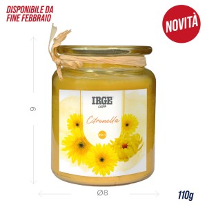 EHA CANDELA CITRONELLA 110GR