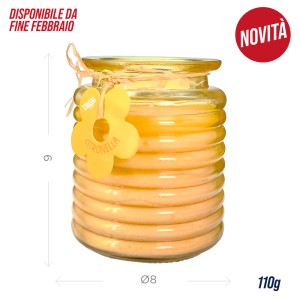 EJA CANDELA CITRONELLA 110GR VETRO ONDA