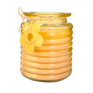 EJA CANDELA CITRONELLA 110GR VETRO ONDA