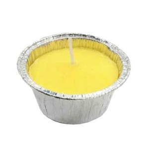 EAL CANDELA CITRONELLA ALLUMINIO 80GR