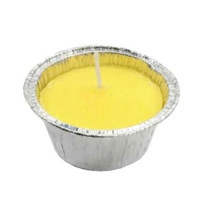 EKA CANDELA CITRONELLA ALLUMINIO 80GR