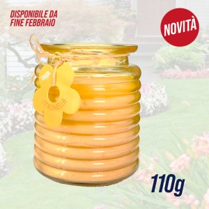 EJA CANDELA CITRONELLA 110GR VETRO ONDA