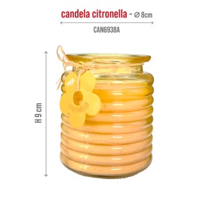 EJA CANDELA CITRONELLA 110GR VETRO ONDA