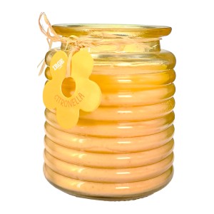 EAI CANDELA CITRONELLA 110GR VETRO ONDA