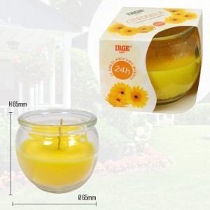 EPA CANDELA CITRONELLA CON VETRO LISCIO